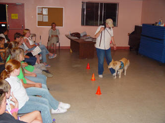 Special Demonstration