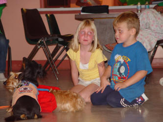 We just want to play with the dogs!